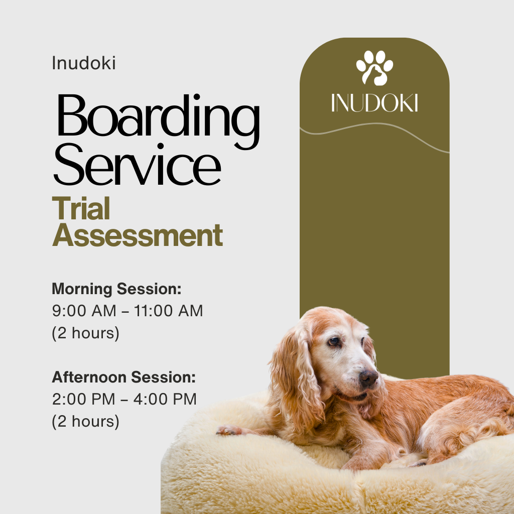 dog boarding – trial assessment