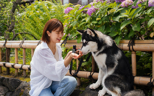 Owner interacting with her dog during a walk break.