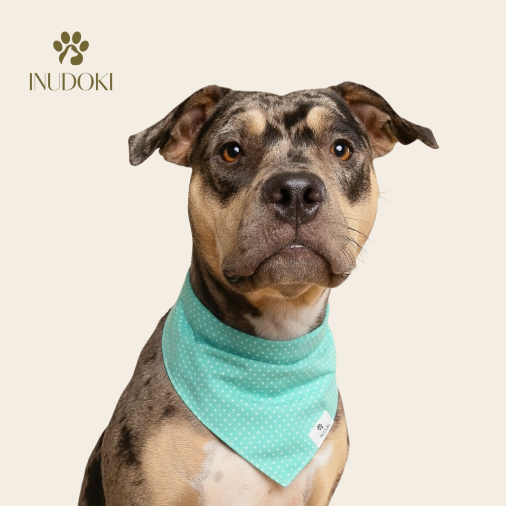Dog Bandana