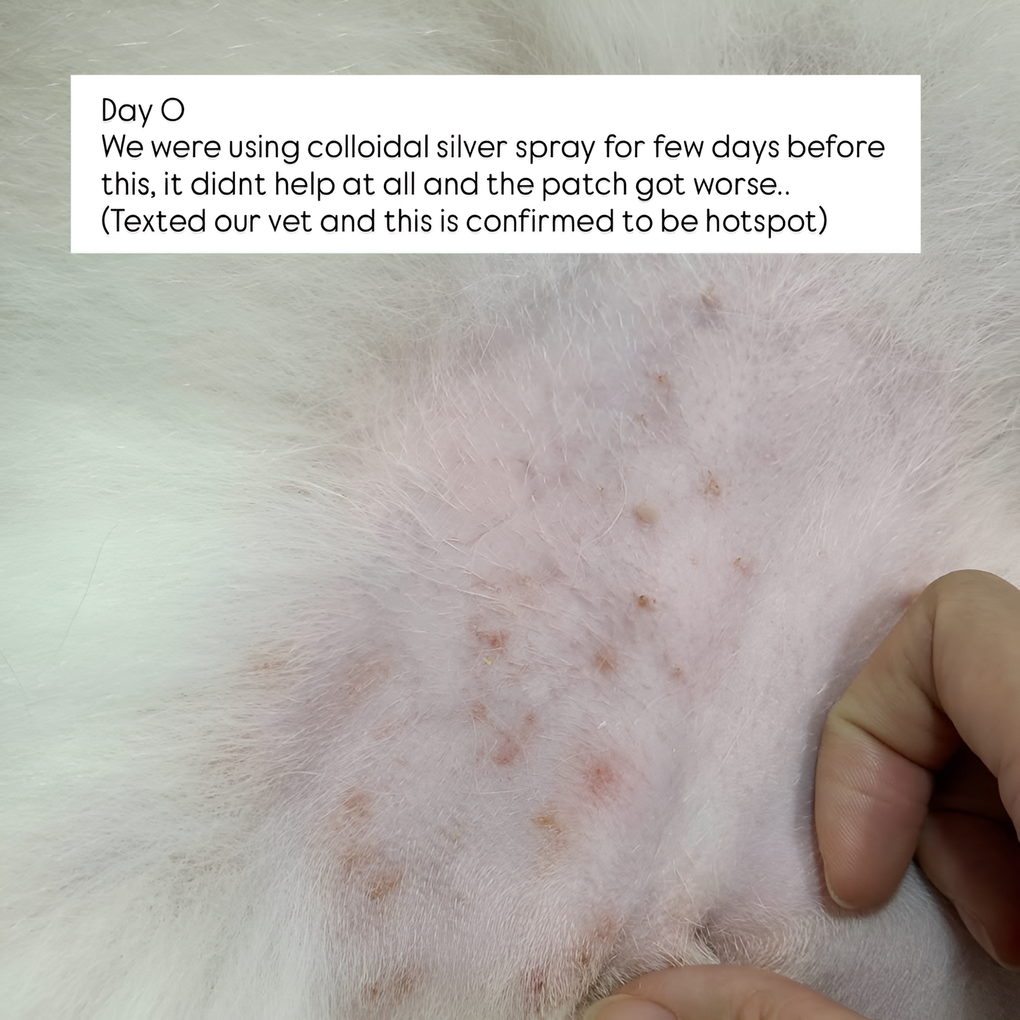 tuck kee pets hotspot defense spray | 120ml/480ml