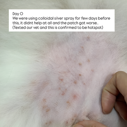 Tuck Kee Pets Hotspot Defense Spray | 120ML/480ML