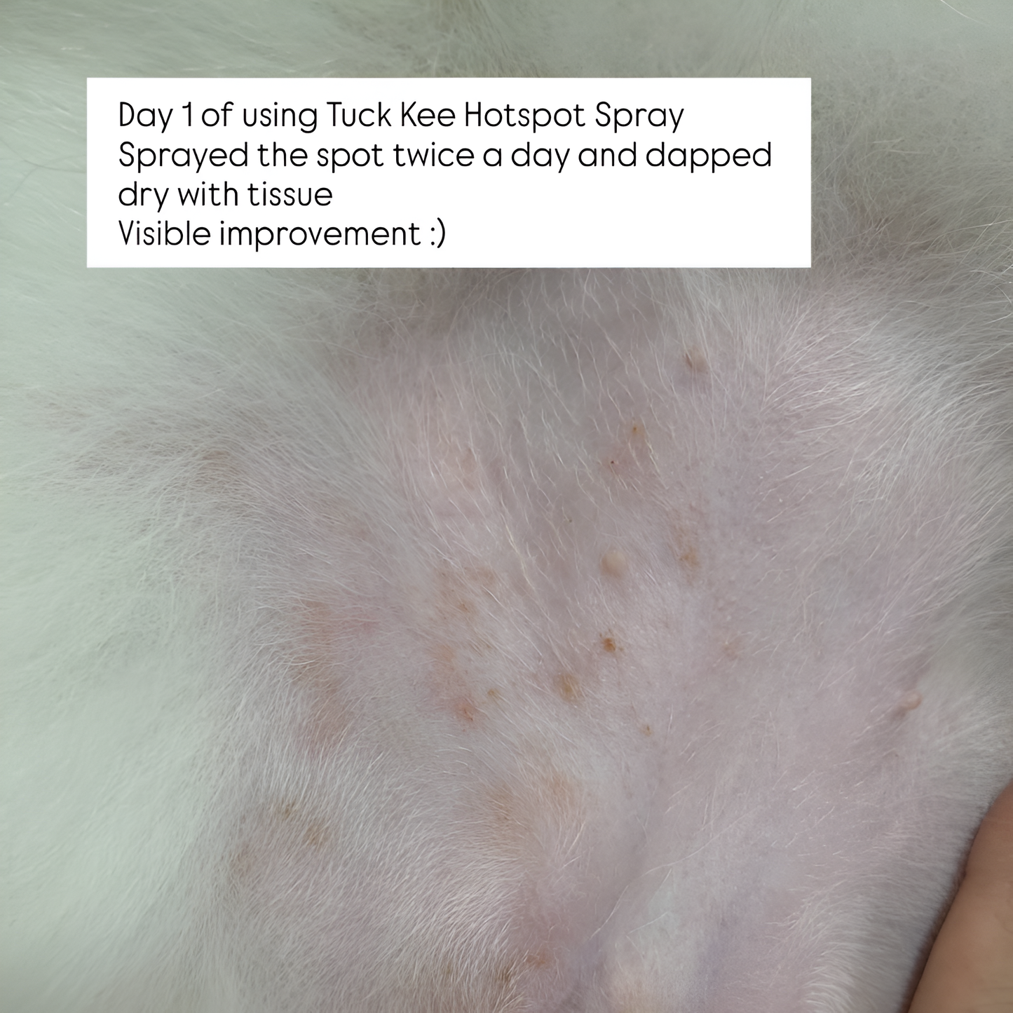 tuck kee pets hotspot defense spray | 120ml/480ml