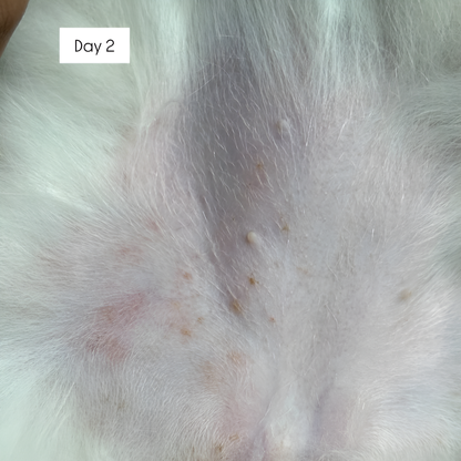 Tuck Kee Pets Hotspot Defense Spray | 120ML/480ML