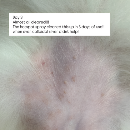 Tuck Kee Pets Hotspot Defense Spray | 120ML/480ML