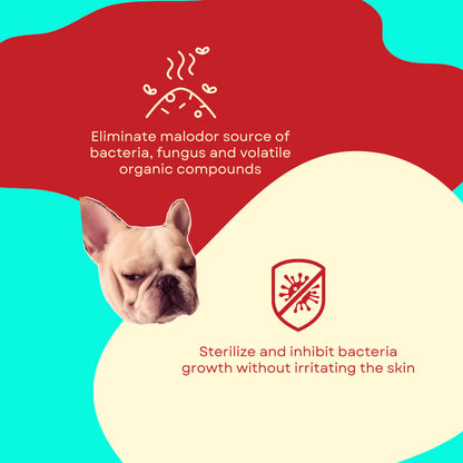 Tuck Kee Pets Very Clean Cleaning Water | 350ML/1000ML