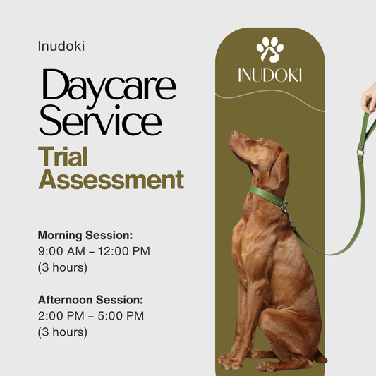 Dog Daycare – Trial Assessment