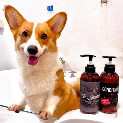 Tuck Kee Pets Rinse-Off Conditioner Summer Vacay | 500ML