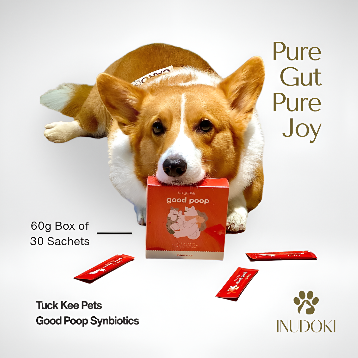 good poop synbiotics | 60g box of 30 sachets