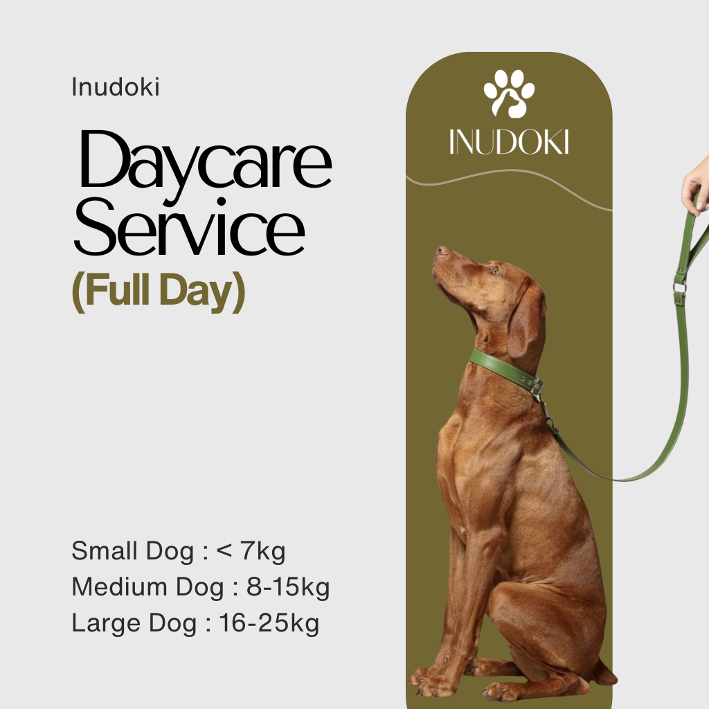 daycare service (full day)