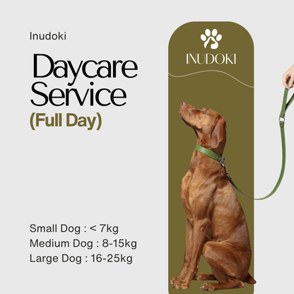 Daycare Service (Full Day)