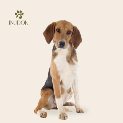 10-Day Daycare Package