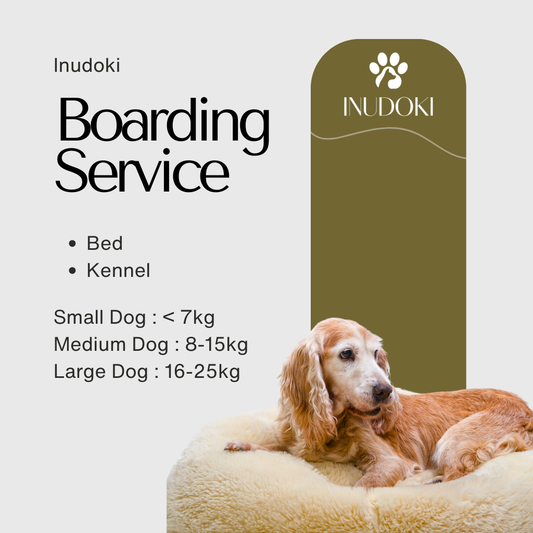 Dog Boarding — Bed