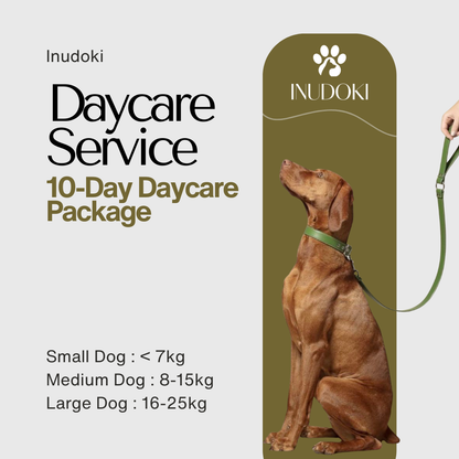 10-Day Daycare Package