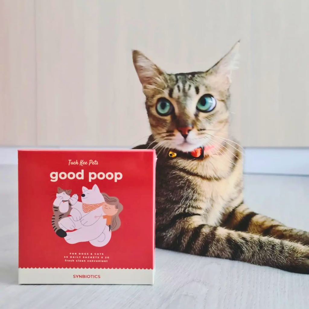 good poop synbiotics | 60g box of 30 sachets