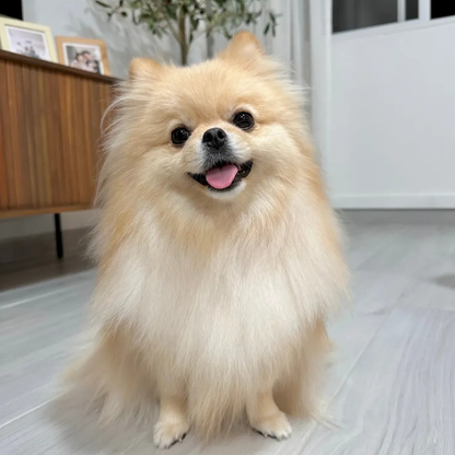 Tuck Kee Pets Instant Detangler | 100ML/500ML