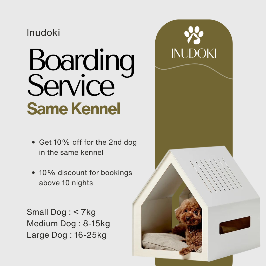 dog boarding — same kennel