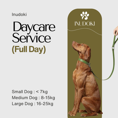 Daycare Service (Full Day)