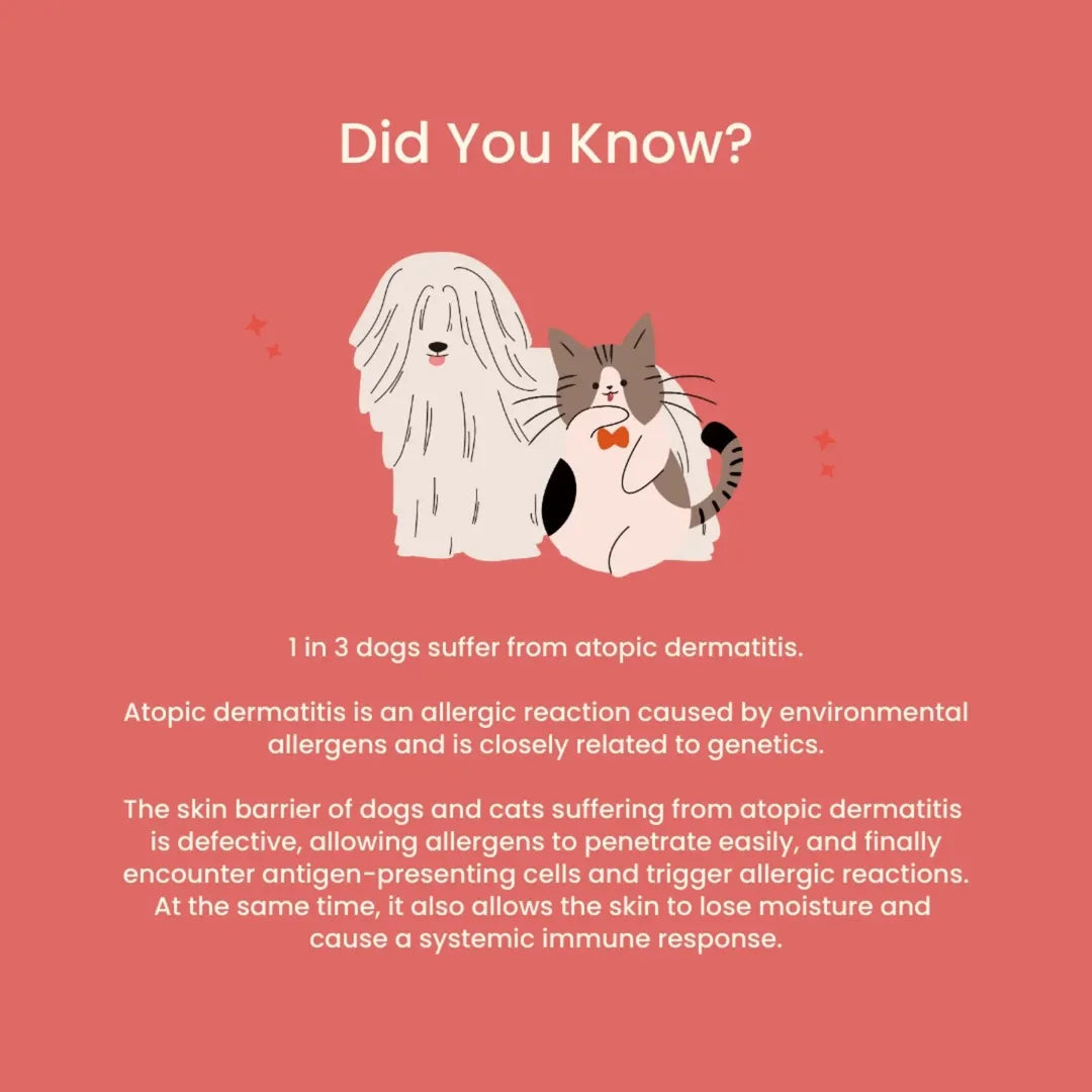 tuck kee pets glow up skin & coat supplement with anti-allergy properties | 60g box of 30 sachets