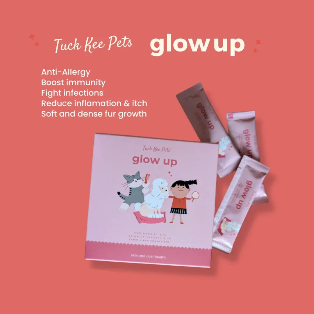 tuck kee pets glow up skin & coat supplement with anti-allergy properties | 60g box of 30 sachets