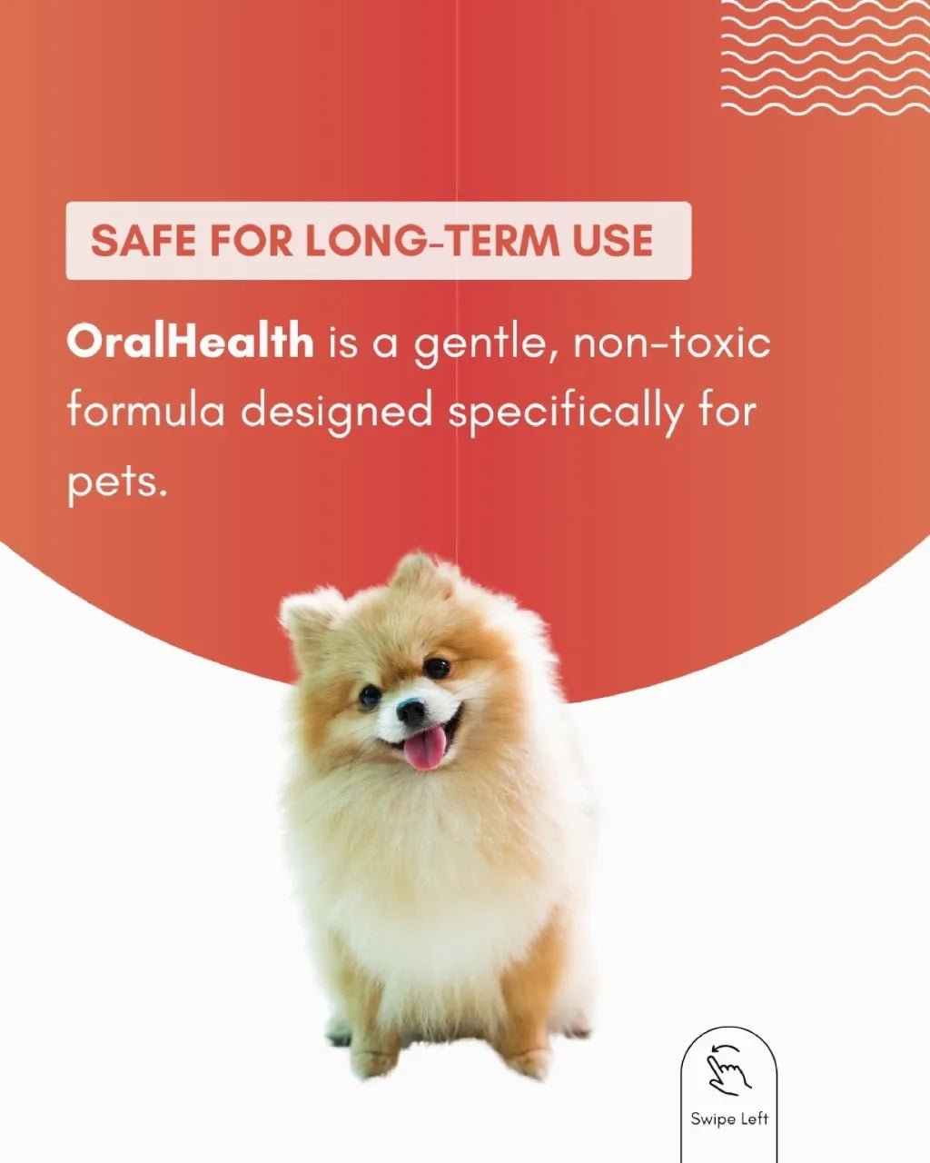 tuck kee pets oralhealth teeth & gum spray | 15ml