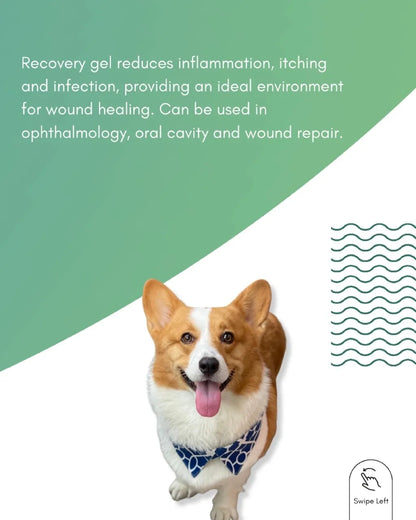Tuck Kee Pets RECOVERYGEL Skin Repair Gel | 12G