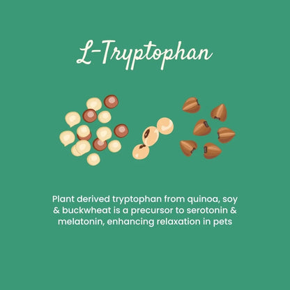 Calm Down Mood Support Supplement | 45g Box of 30 Sachets