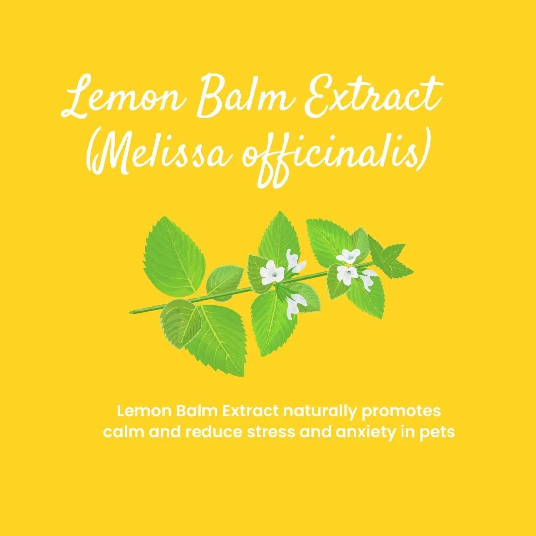 calm down mood support supplement | 45g box of 30 sachets