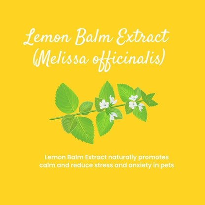 Calm Down Mood Support Supplement | 45g Box of 30 Sachets