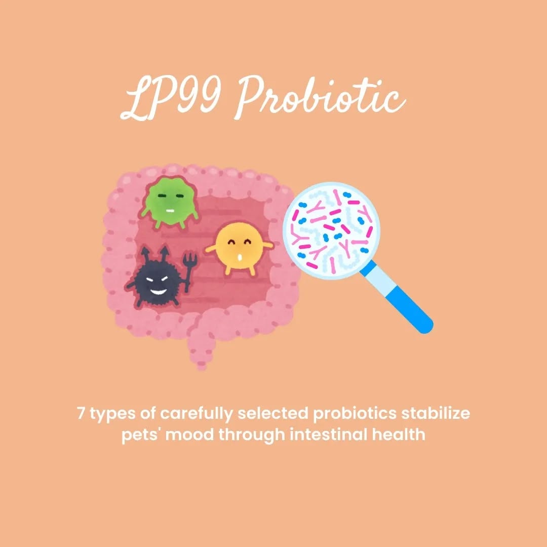 calm down mood support supplement | 45g box of 30 sachets