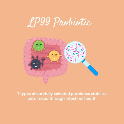 Calm Down Mood Support Supplement | 45g Box of 30 Sachets