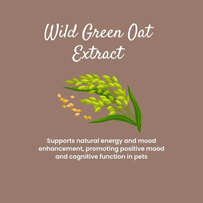 Calm Down Mood Support Supplement | 45g Box of 30 Sachets