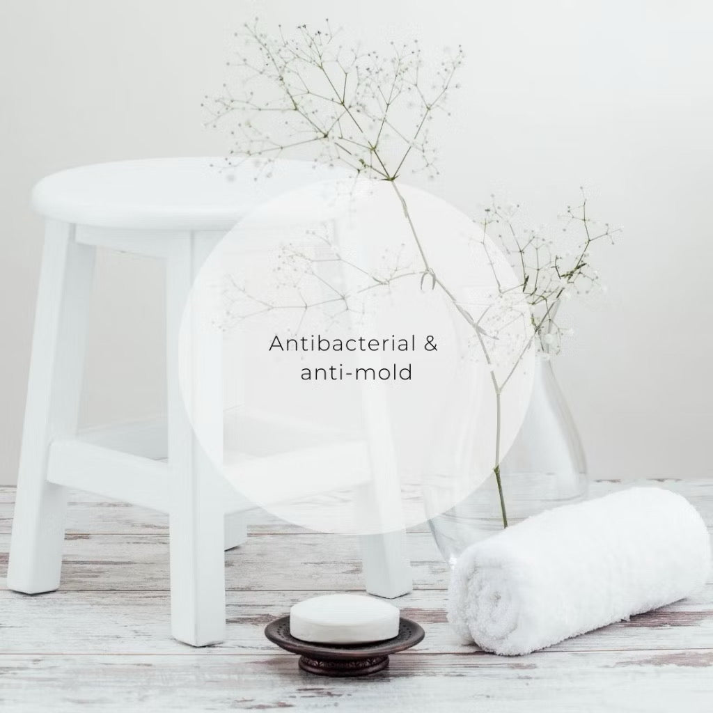 clean & white shampoo