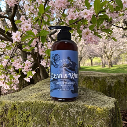 Clean & White Shampoo