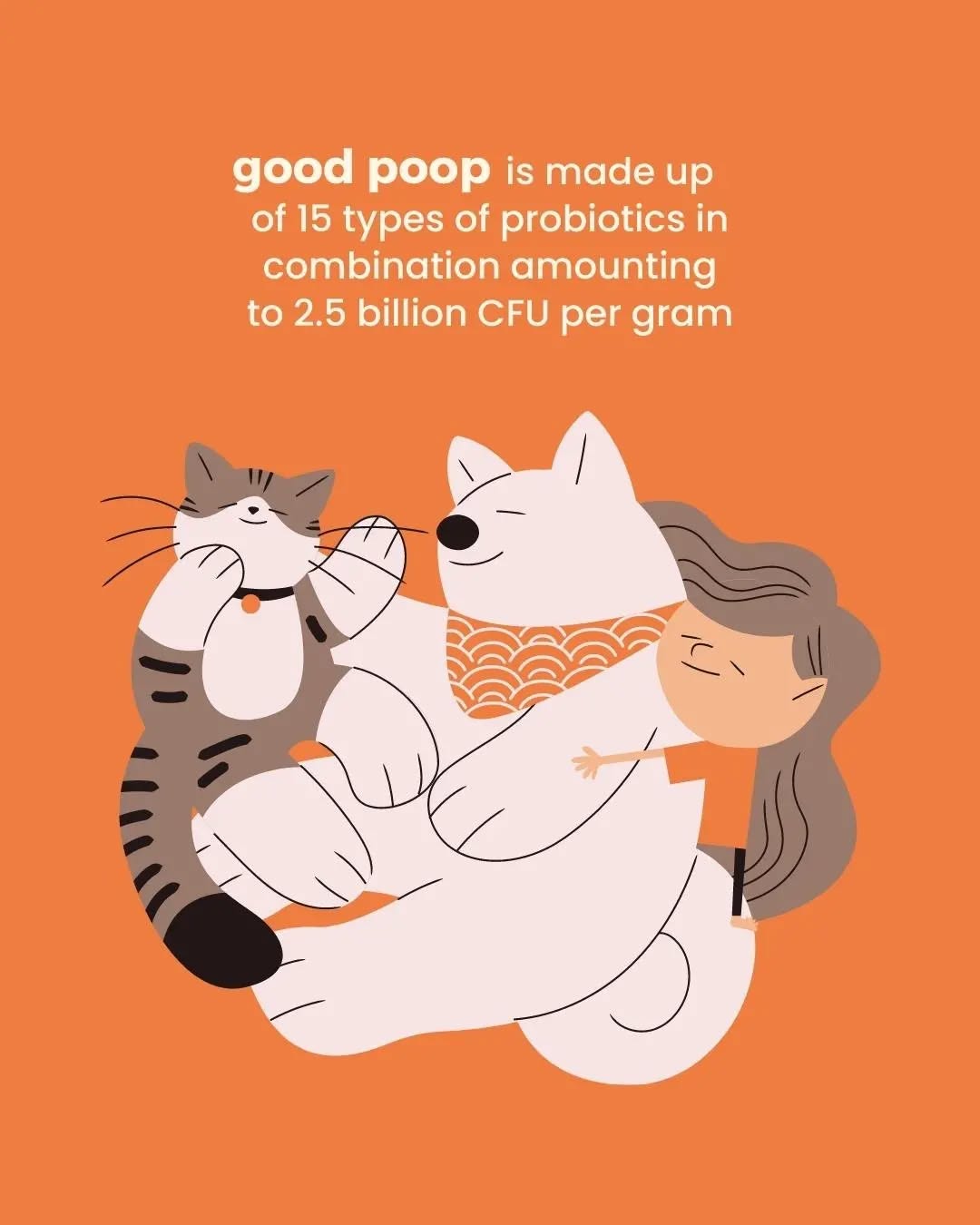 good poop synbiotics | 60g box of 30 sachets