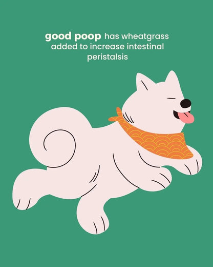 Good Poop Synbiotics | 60g Box of 30 Sachets