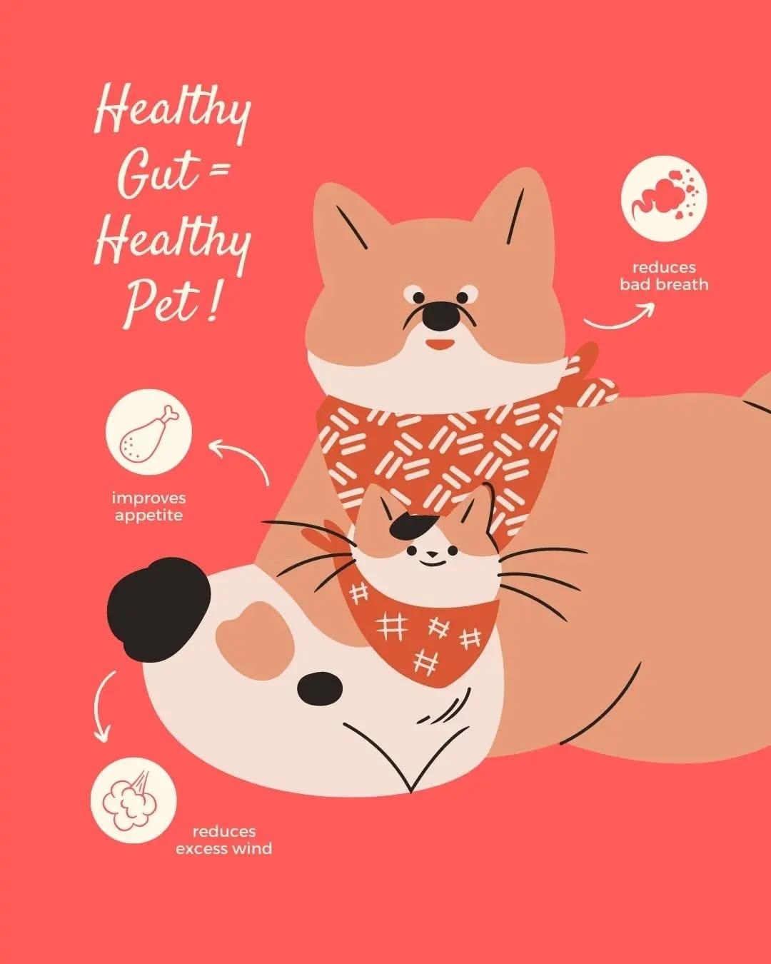 good poop synbiotics | 60g box of 30 sachets