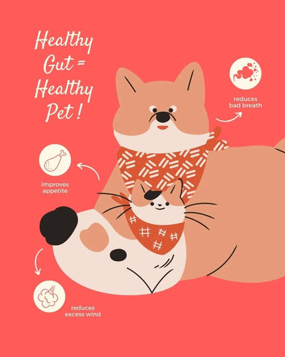 Good Poop Synbiotics | 60g Box of 30 Sachets