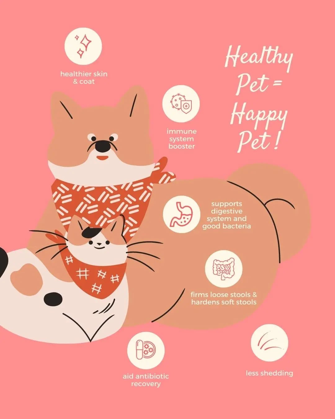 good poop synbiotics | 60g box of 30 sachets