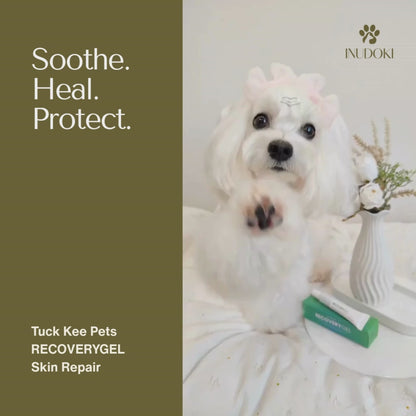 Tuck Kee Pets RECOVERYGEL Skin Repair Gel | 12G