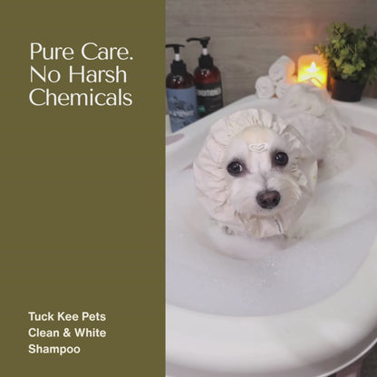 Tuck Kee Pets Clean & White Shampoo | 500ML/4000ML